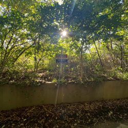 鳥栖市江島町 売地 41坪